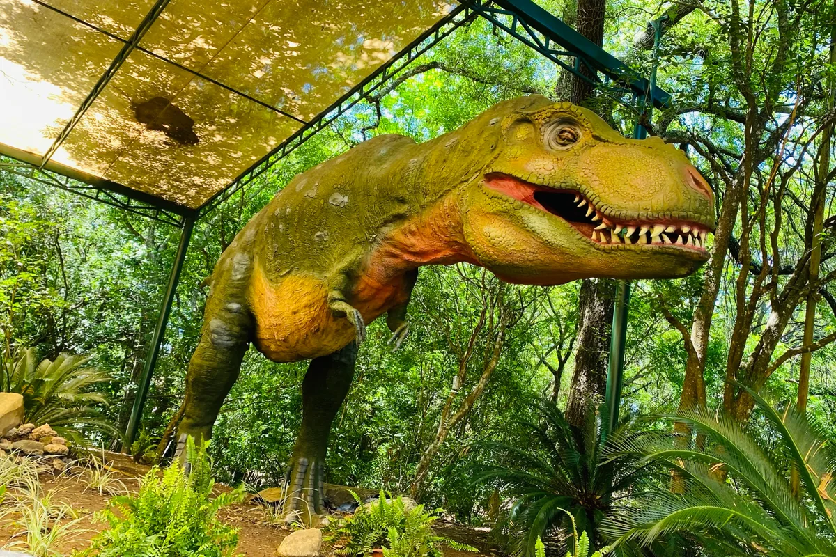 Réplica animatrónica de tiranosaurio rex entre la vegetación del Bioparque Estrella