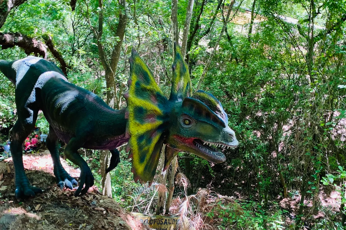 Dinosaurio Dilofosaurio animatrónico con su cresta de colores en el sendero del bioparque