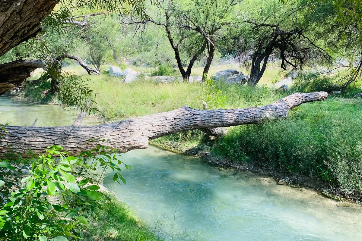 Alberca natural de aguas turquesas en Bustamante, Nuevo León, rodeada de montañas y árboles
