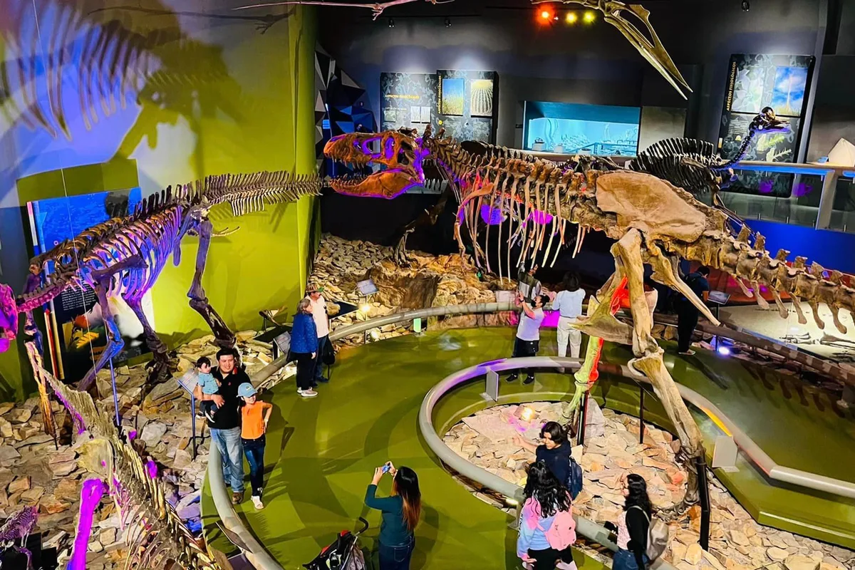 Réplicas de triceratops y tiranosaurio bajo palapa en el área exterior del museo