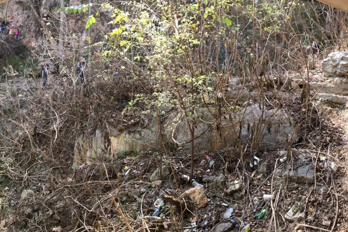 Basura acumulada entre la vegetación antes de la jornada de limpieza en zona natural