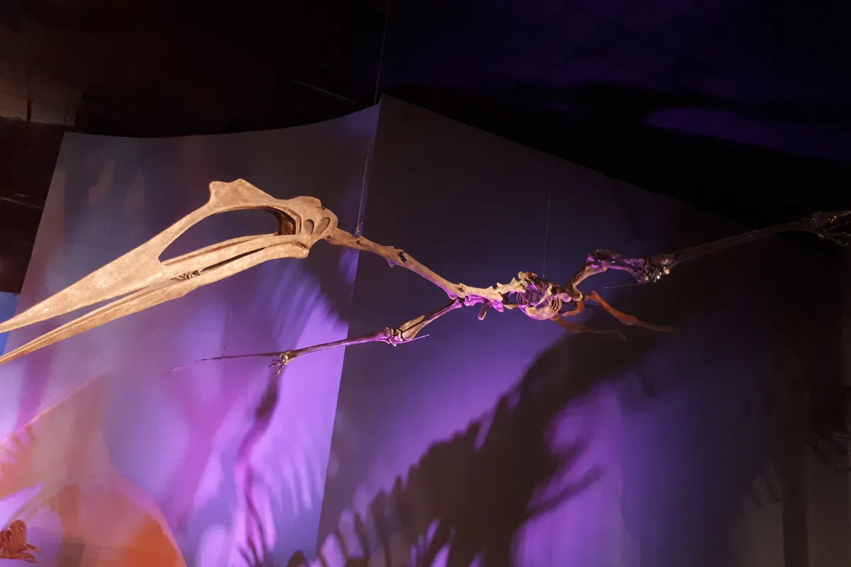 Familia se fotografía bajo un enorme esqueleto de dinosaurio en el Museo del Desierto de Saltillo