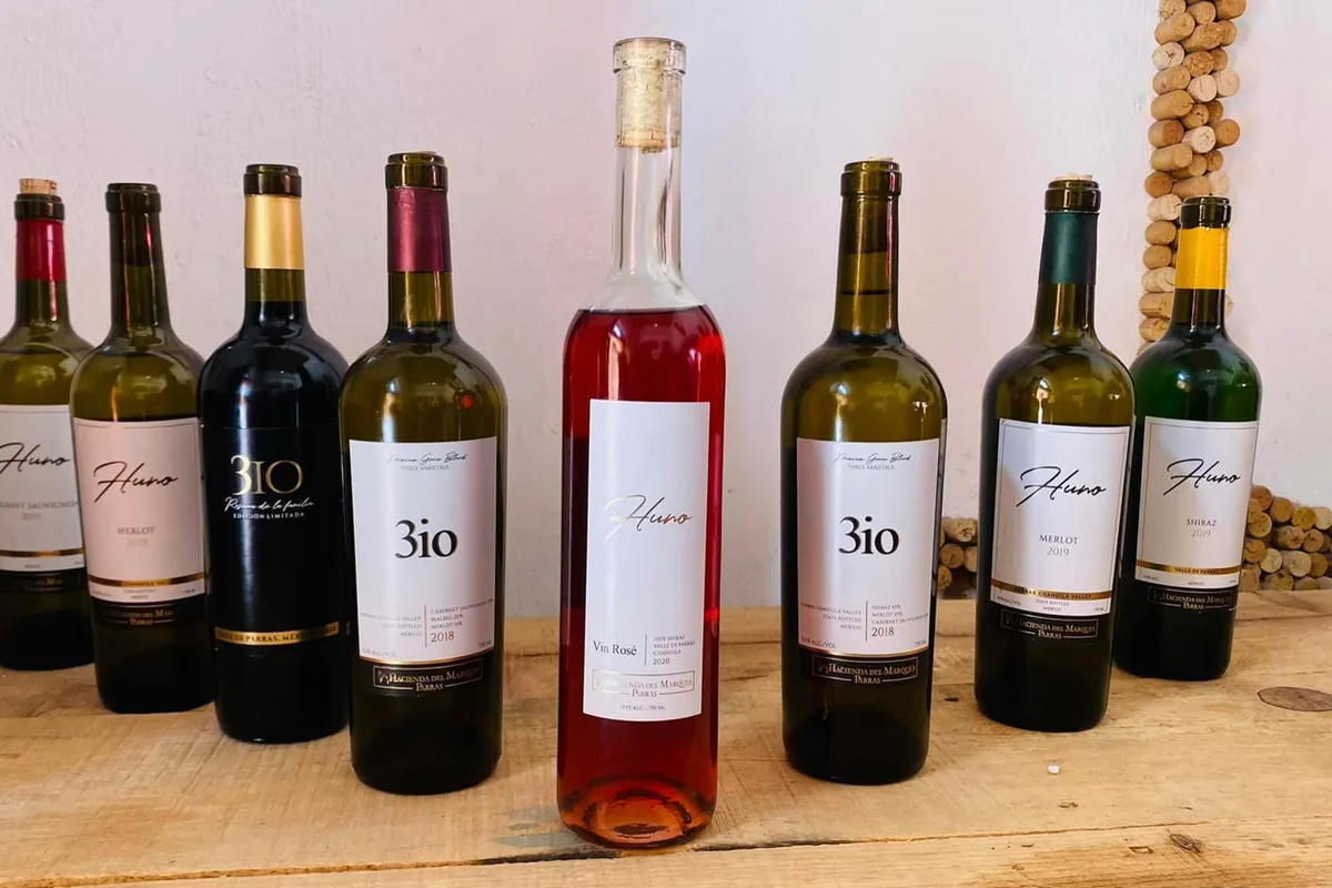 Variedad de botellas de vino producidas en las bodegas de Parras de la Fuente