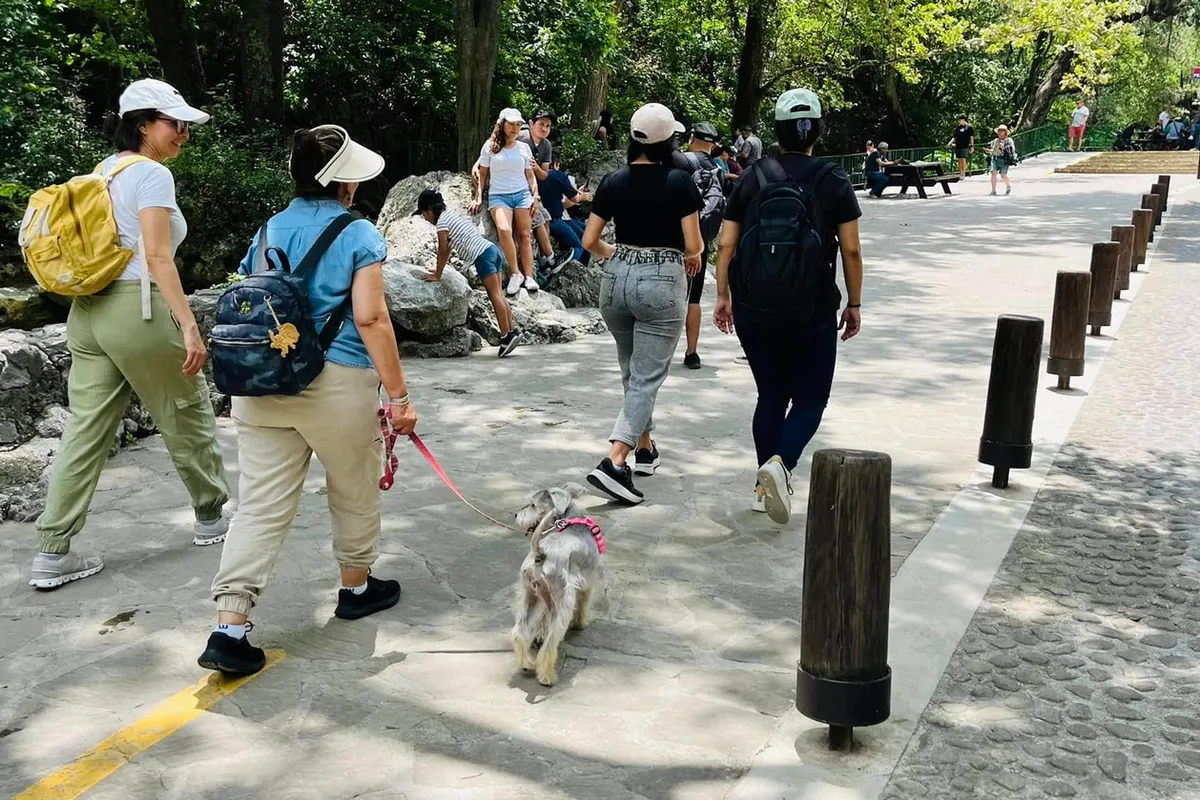 Grupo de turistas camina por un sendero boscoso junto a su perro durante una excursión pet-friendly