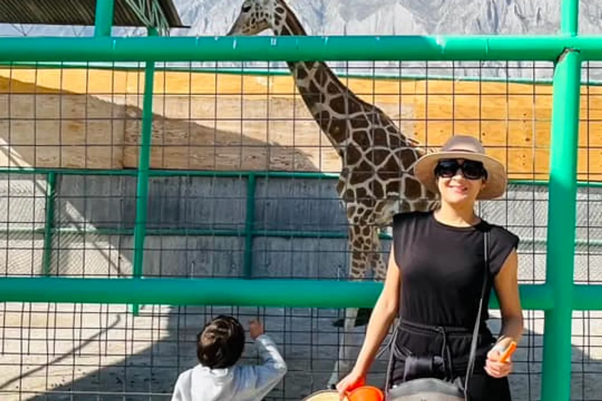 Jirafa estira el cuello para recibir alimento de una visitante en el zoológico Xenpal, García